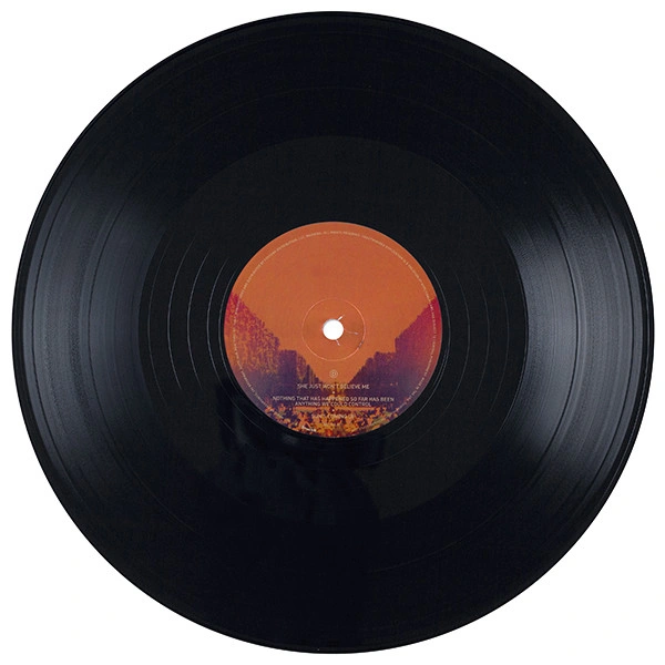 Vinyl Record Tame Impala - Lonerism - 2LP - img.11