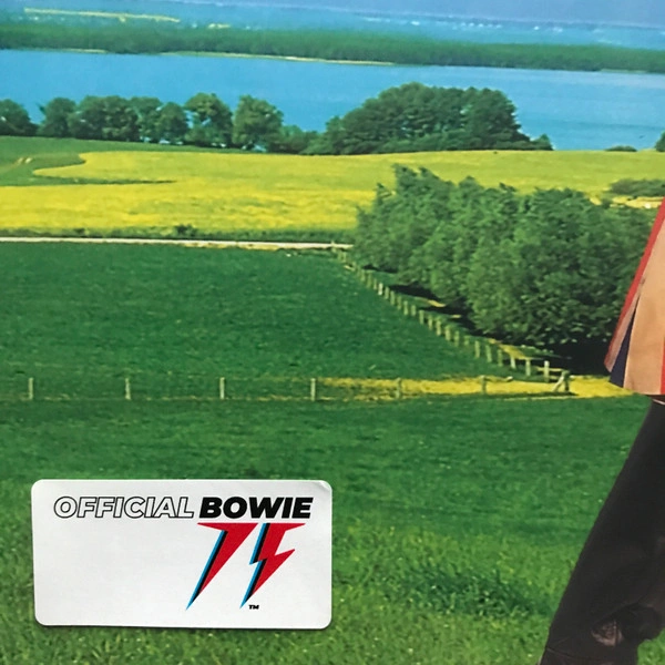 Vinyl Record David Bowie – Earthling - 2LP - img.3