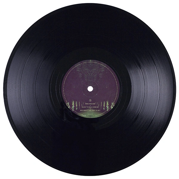 Vinyl Record Tame Impala - Lonerism - 2LP - img.9