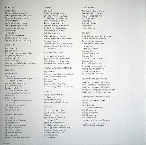 Vinyl Record Ramones - Ramones - img.3