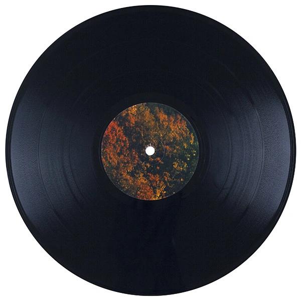 Vinyl Record Tame Impala - Innerspeaker - 2LP - img.6