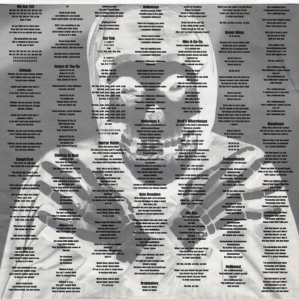 Vinyl Record The Misfits - Collection II LP - img.5