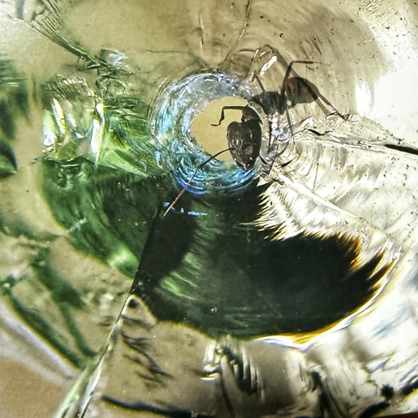 Vinyl Record Dream Theater – Systematic Chaos (Clear) - 2LP - img.12