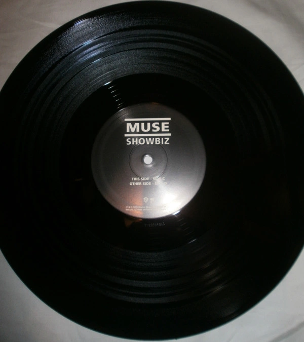 Vinyl Record Muse - Showbiz - img.3