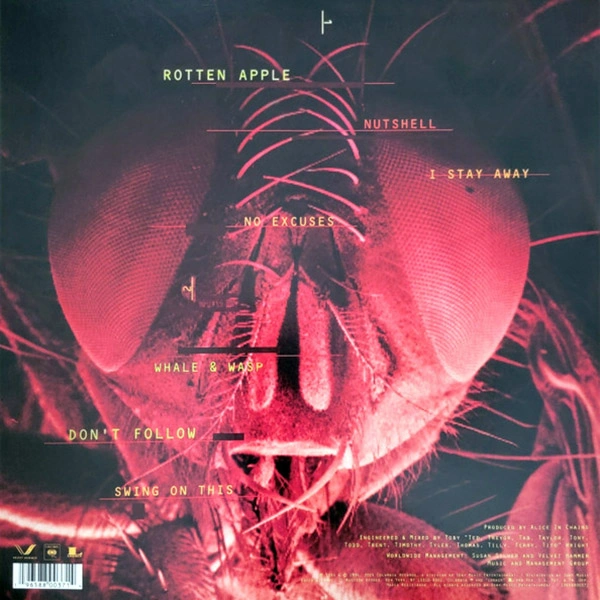 Vinyl Record Alice In Chains - Jar Of Flies (30th Anniversary) LP - img.1