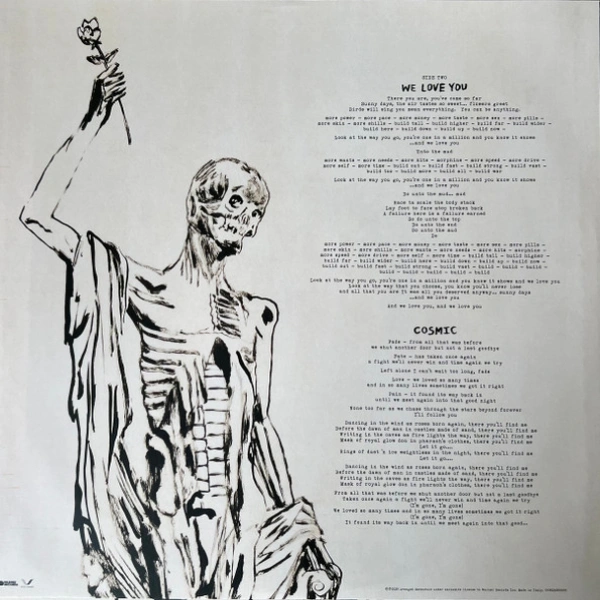 Vinyl Record Avenged Sevenfold – Life Is But A Dream... (Transparent Orange) - 2LP - img.8