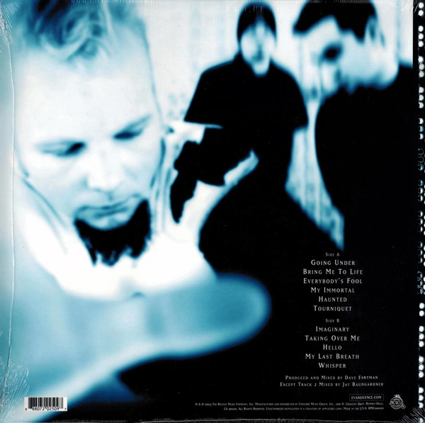 Vinyl Record Evanescence – Fallen - LP - img.1