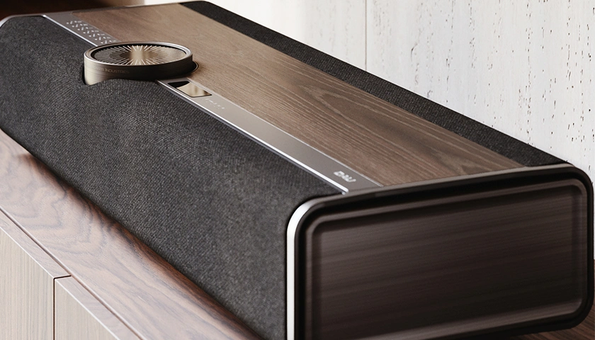 Dali Vega acoustic system