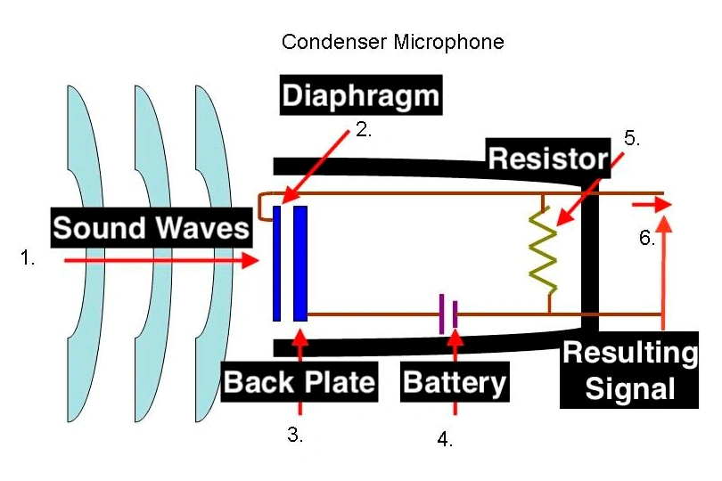 Which Microphone Better