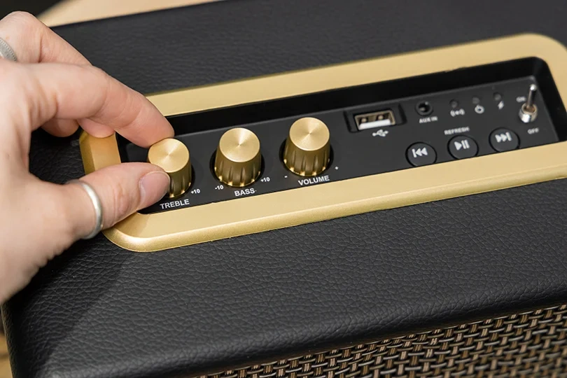 Large Portable Speaker