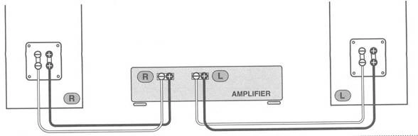 Standard Connection