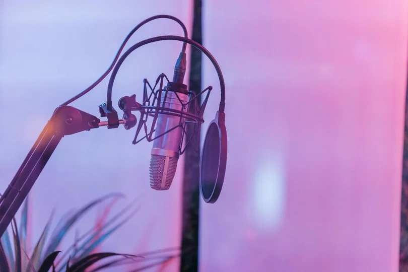 Mic Pop Filters