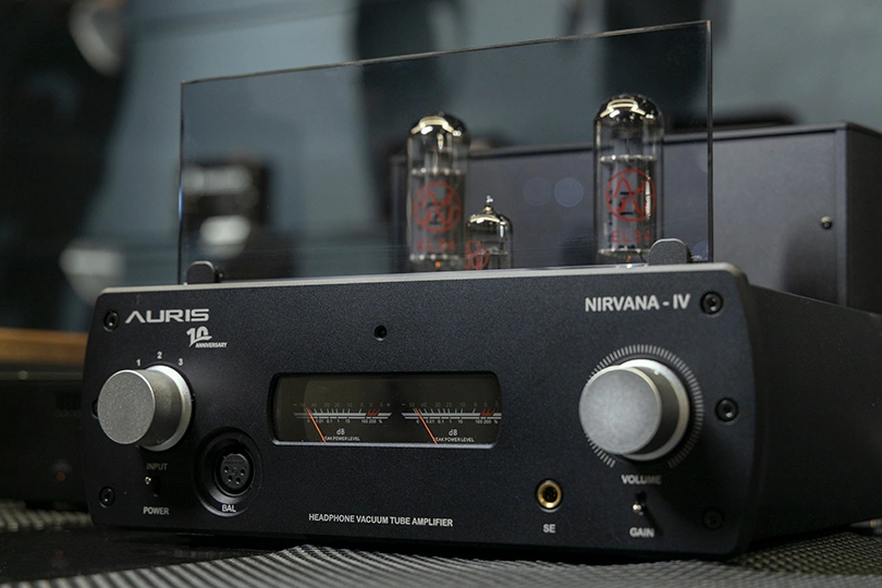 Auris Nirvana_11.jpg