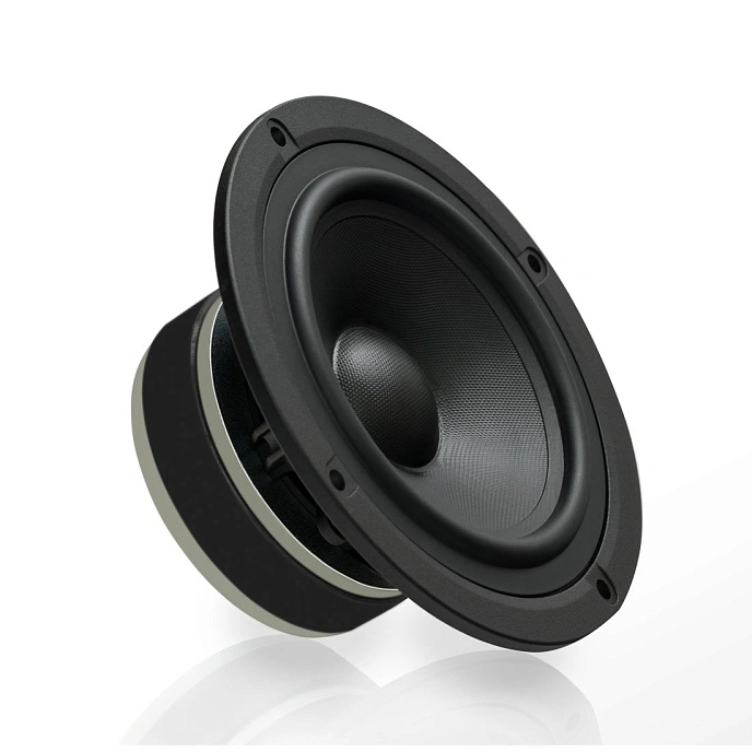 Bookshelf speakers Pro-Ject Speaker Box 5 DS2 Eucalyptus - img.3