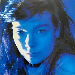 Vinyl Record Bjork - Telegram - 2LP
