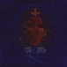 Vinyl Record Smashing Pumpkins - Gish LP - img.4