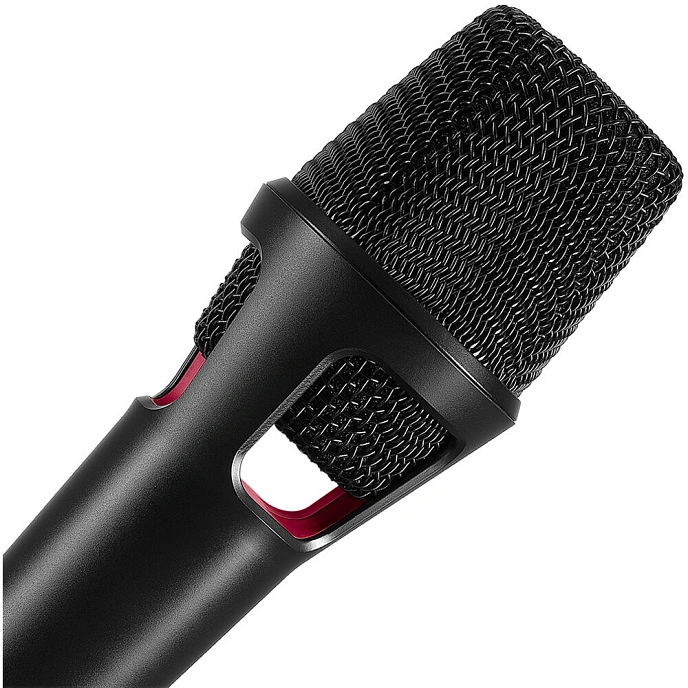 Vocal microphone Austrian Audio OD505 - img.9