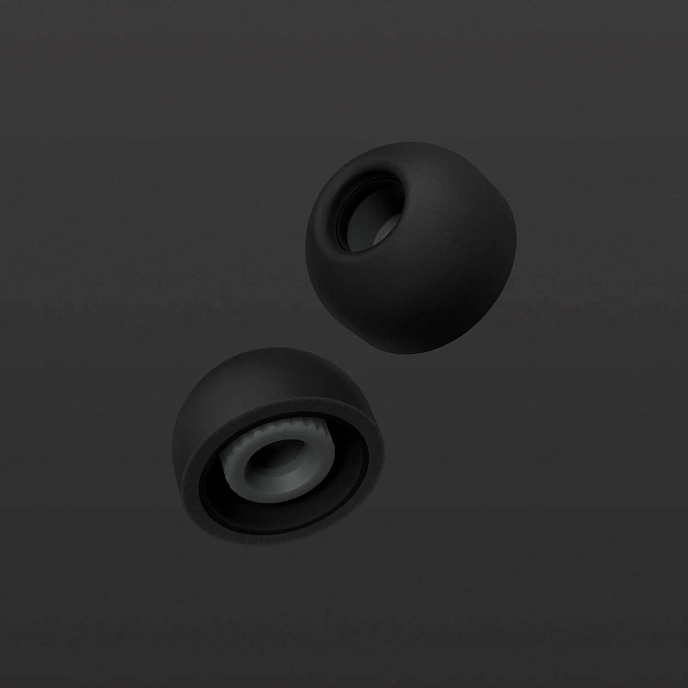 Eartips Final Audio Fusion-G size LL 4pcs Black - img.1