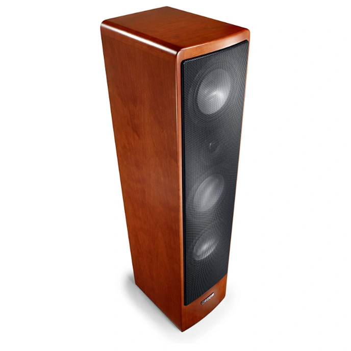 Floorstanding Speakers Canton Ergo 690 DC Cherry (1pc) - img.1