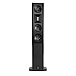 Floorstanding Speakers Borresen X3 Black Piano - img.1