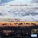 Vinyl Record Robert Plant With Suzi Dian - Saving Grace LP - img.4