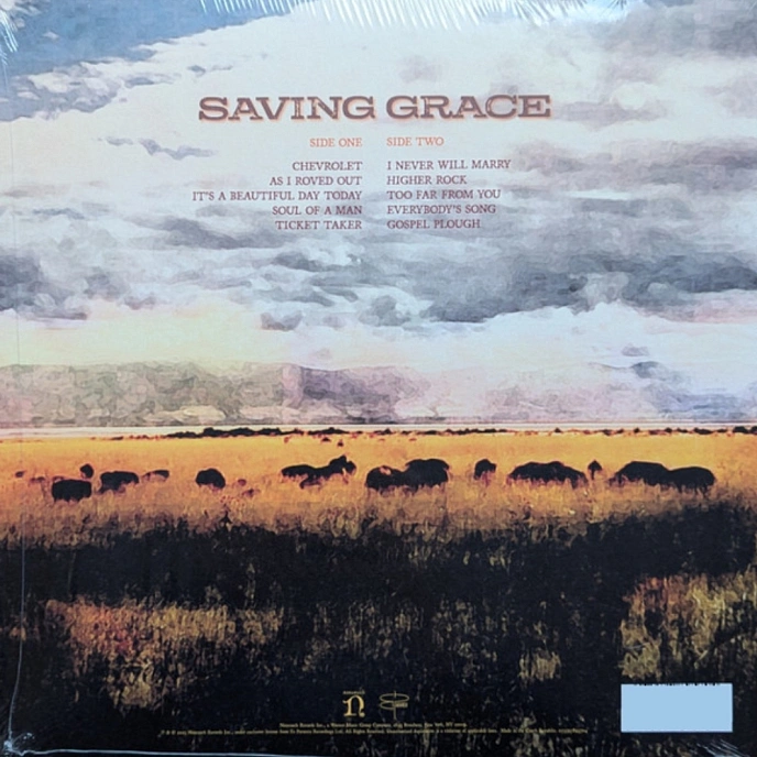 Vinyl Record Robert Plant With Suzi Dian - Saving Grace LP - img.4