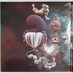 Vinyl Record Bjork – Fossora (Turquoise 2023 (2nd pressing)) 2LP