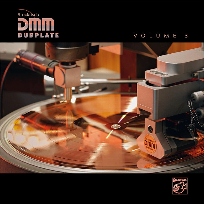 Vinyl Record Various - Stockfisch DMM Dubplate Vol.3 LP - img.0