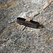 Transmitter Noble Audio Sceptre Silver - img.9