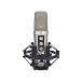 Microphone RODE NT2000 - img.0 Microphone RODE NT2000 - img.0