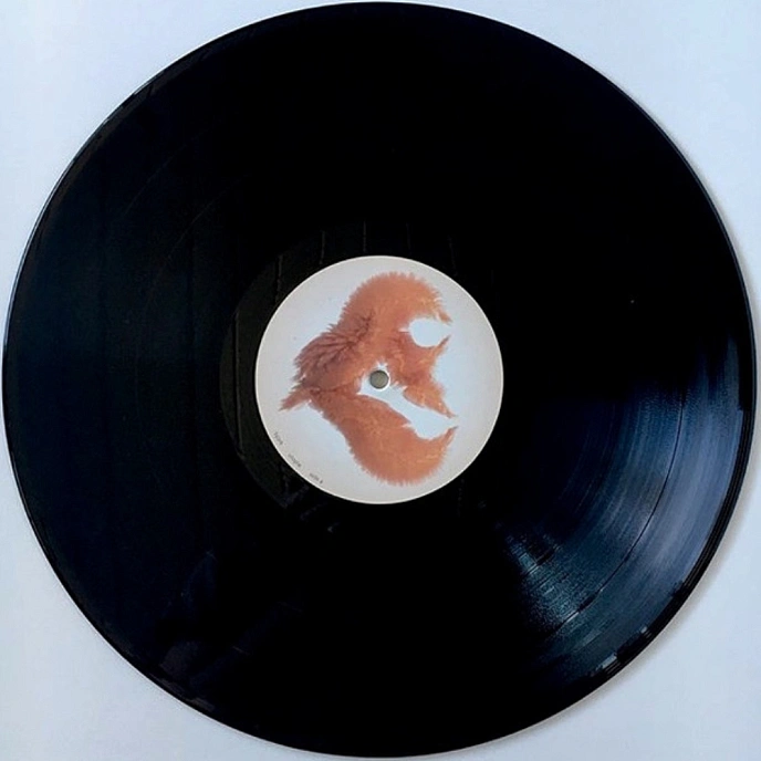 Vinyl Record Bjork - Utopia - 2LP - img.10