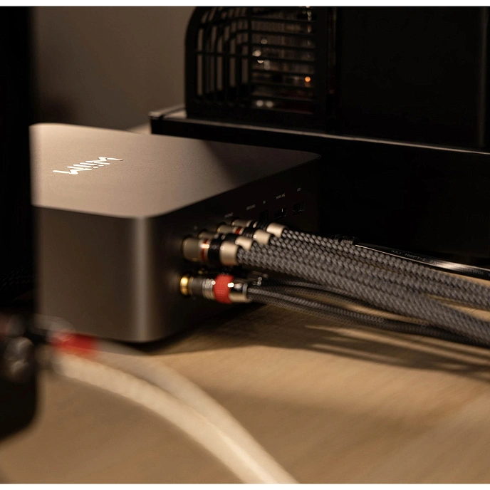 Network Audio Player WiiM Ultra Silver - img.6