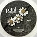 Vinyl Record Ariana Grande - Petal (Translucent Pearly White) LP - img.4