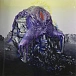Vinyl Record Bjork - Vulnicura - 2LP - img.2