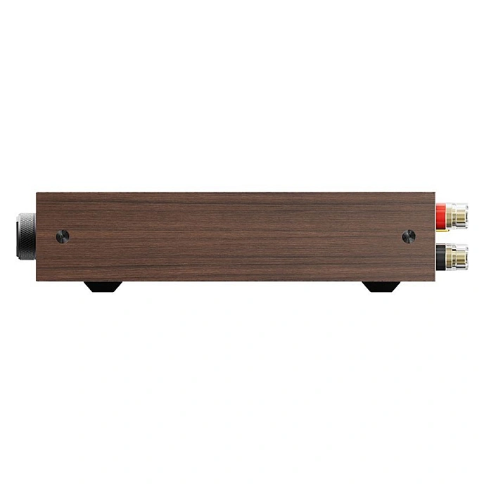 Integrated amplifier FiiO Level 1 Black Walnut - img.3