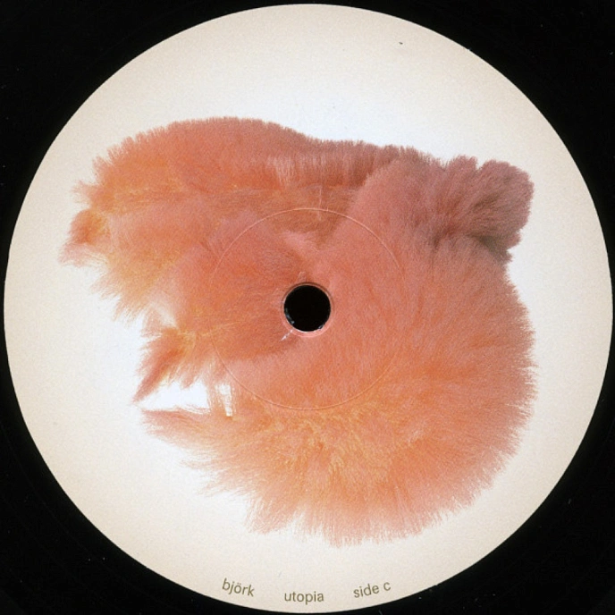 Vinyl Record Bjork - Utopia - 2LP - img.14