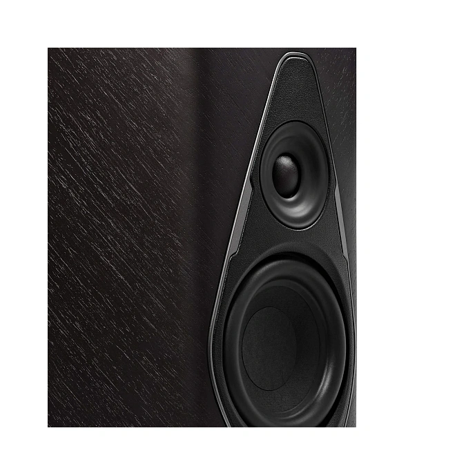 Wireless Speaker Sonus Faber Duetto Graphite - img.2