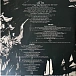 Vinyl Record Avenged Sevenfold – Life Is But A Dream... (Transparent Orange) - 2LP - img.3