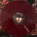 Vinyl Record Bjork – Fossora (Burgundy 2023 (2nd pressing)) - 2LP - img.2
