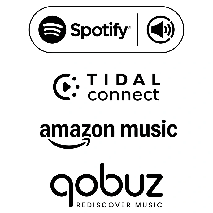 Integrated amplifier Pro-Ject Uni Box S3 Black - img.8