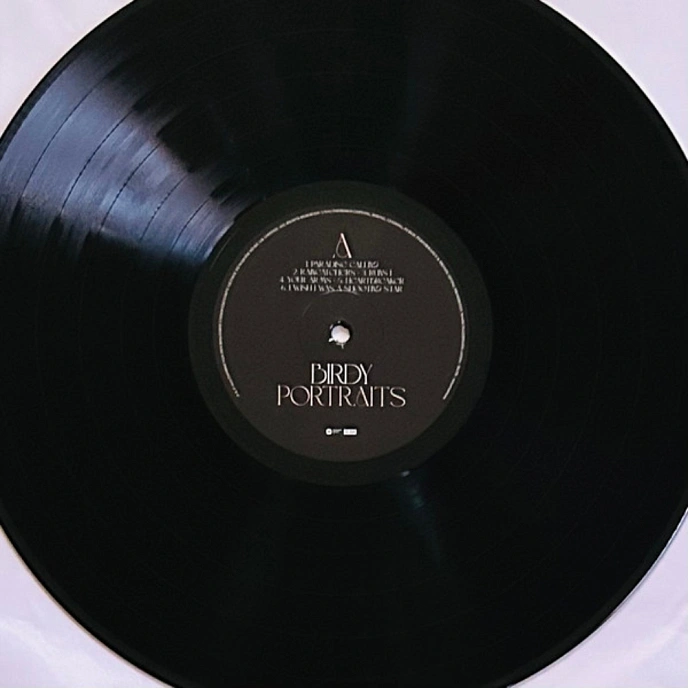 Vinyl Record Birdy - Portraits LP - img.4