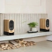 Bookshelf speakers PMC Prophecy 1 mediterranean oak (pair) - img.5