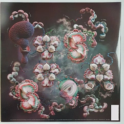 Vinyl Record Bjork – Fossora (Turquoise 2023 (2nd pressing)) 2LP