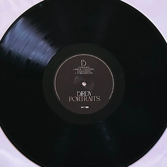 Vinyl Record Birdy - Portraits LP - img.5