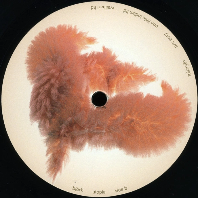 Vinyl Record Bjork - Utopia - 2LP - img.13