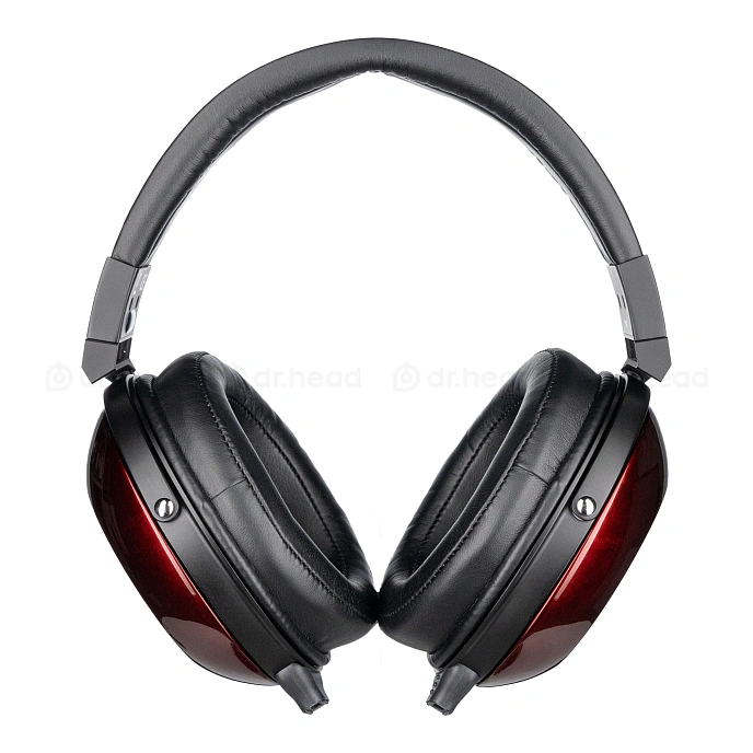 High End headphones Fostex TH-909 - img.3