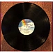 Vinyl Record Lynyrd Skynyrd - Skynyrds Innyrds - Their Greatest Hits LP - img.5