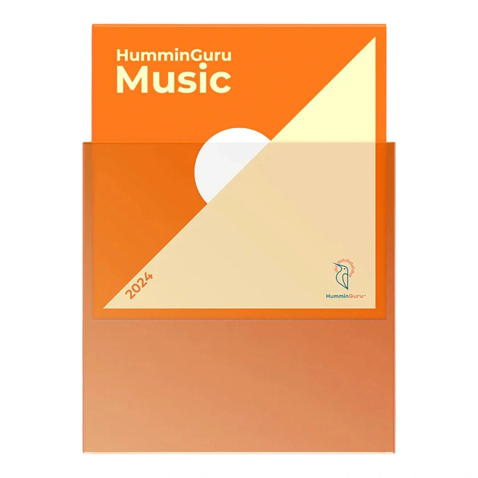 Vinyl Record outer sleeves HumminGuru 7" Protective Outer Record Sleeves (50 Pack) - img.0