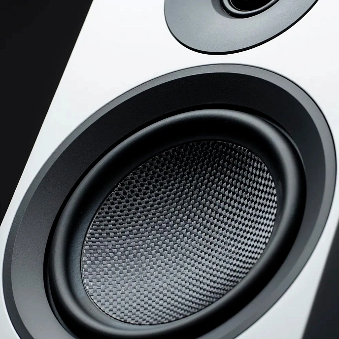 Floorstanding Speakers Pro-Ject Speaker Box 10 E Carbon Walnut - img.2