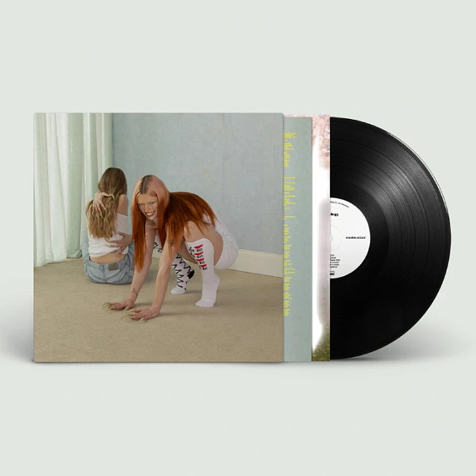 Vinyl Record Wet Leg - Moisturizer LP - img.1